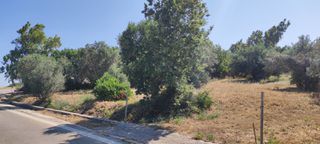 Οικόπεδο 1.640,76 τ.μ. για πώληση
