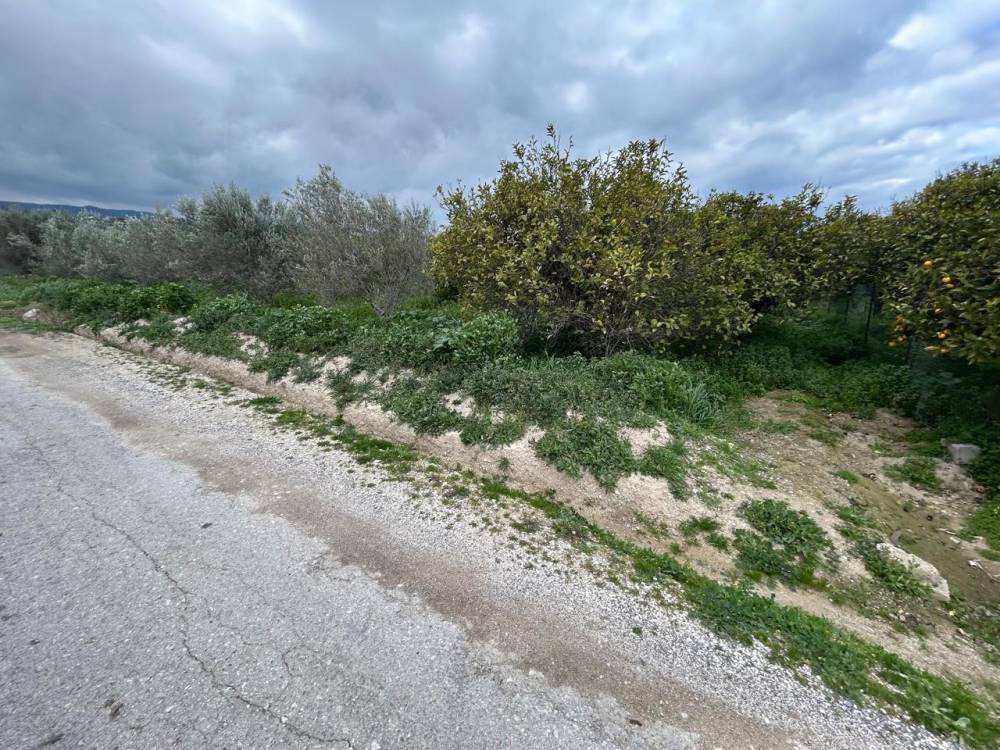 Αγροτεμάχια 3.379 τ.μ. πρός πώληση, Κορινθία, Σικυώνα