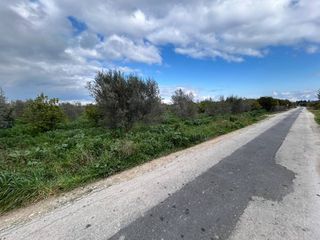Αγροτεμάχια 3.379 τ.μ. για πώληση