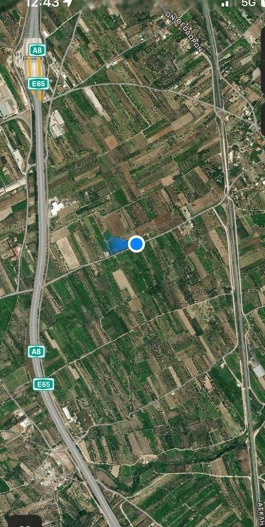 Αγροτεμάχια 3.379 τ.μ. πρός πώληση, Κορινθία, Σικυώνα