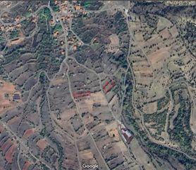 Αγροτεμάχια 2.825 τ.μ. για πώληση