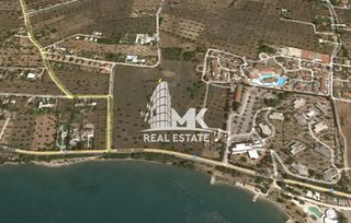 Αγροτεμάχια 74.557 τ.μ. για πώληση