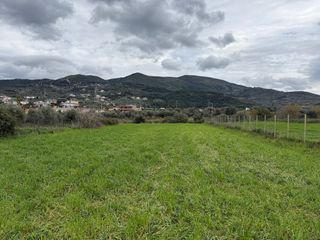 Οικόπεδο 1.360 τ.μ. για πώληση, Αχαΐα, Μεσσατίδα-thumb-4