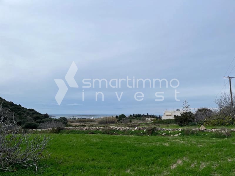 Οικόπεδο 12.070 τ.μ. προς πώληση, Σωτήρες