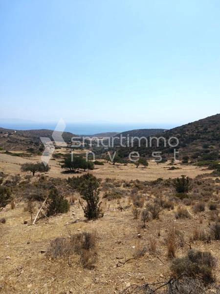 Αγροτεμάχια 9.123 τ.μ. προς πώληση, Αγκαιριά
