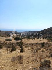 Αγροτεμάχια 9.123 τ.μ. για πώληση