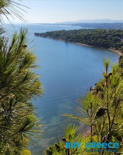 Βίλλα 350 τ.μ. πρός πώληση, Βοιωτία, Οινόφυτα