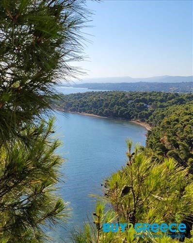 Βίλλα 350 τ.μ. πρός πώληση, Βοιωτία, Οινόφυτα