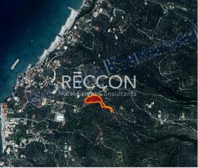 Οικόπεδο 4.620 τ.μ. για πώληση