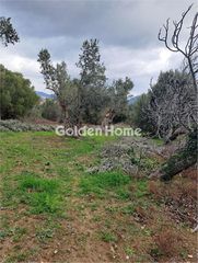 Οικόπεδο 3.724 τ.μ. για πώληση