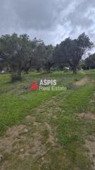 Μονοκατοικία 30 τ.μ. για πώληση