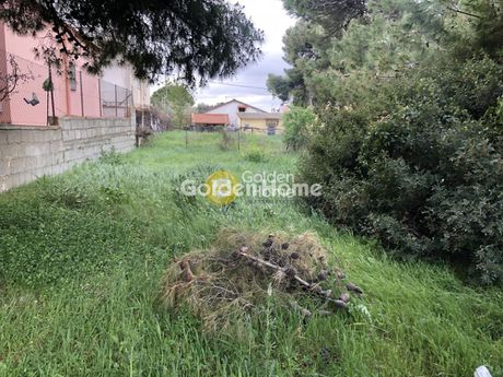 Parcel 282 sqm for rent