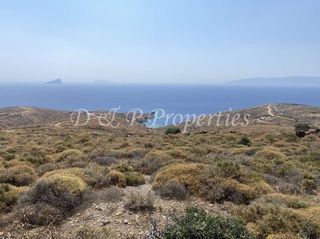 Αγροτεμάχια 27.797 τ.μ. για πώληση