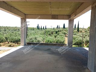 Μονοκατοικία 259 τ.μ. για πώληση, Μεσσηνία, Μεσσήνη-thumb-8