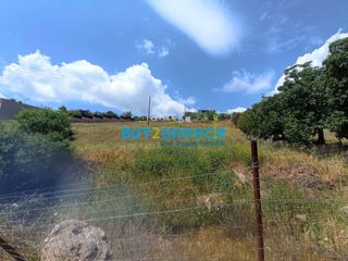 Οικόπεδο 3.491 τ.μ. για ενοικίαση