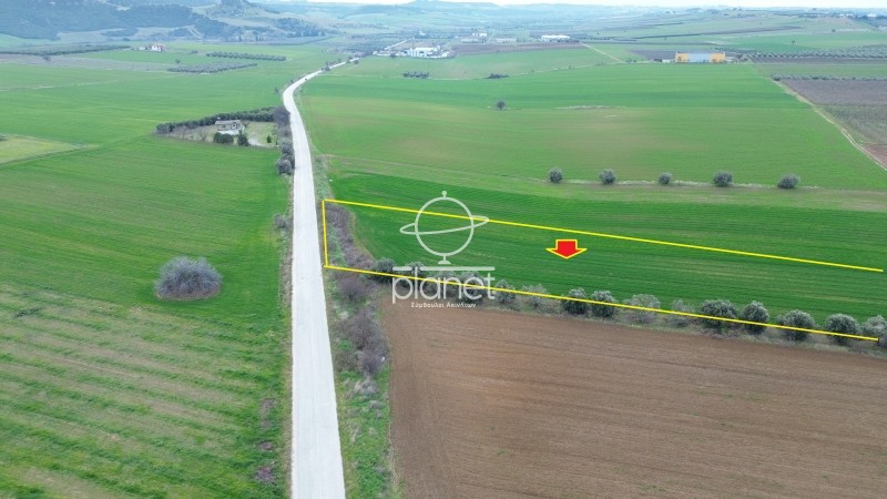 Αγροτεμάχια 5.600 τ.μ. προς πώληση, Λάκκωμα Καλλικράτειας