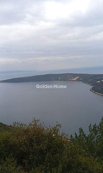 Αγροτεμάχια 8.996 τ.μ. προς πώληση