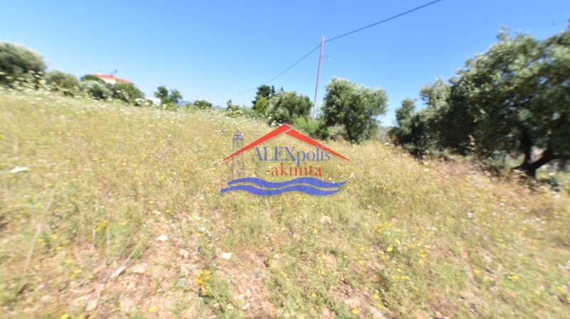 Αγροτεμάχια 1.235 τ.μ. πρός πώληση, Εβρος, Αλεξανδρούπολη