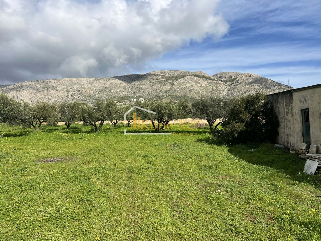 Οικόπεδο 4.200 τ.μ. προς πώληση, Κέντρο Παλαιάς Φώκαιας