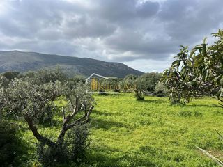 Οικόπεδο 4.200 τ.μ. για πώληση