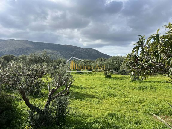Land plot 4.200 sqm for sale, Rest Of Attica, Palaia Fokaia