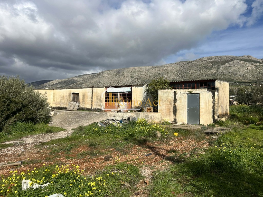 Οικόπεδο 4.200 τ.μ. προς πώληση, Κέντρο Παλαιάς Φώκαιας