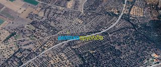 Αγροτεμάχια 17.345,59 τ.μ. προς πώληση, Αχλαδόκαμπος Αργολίδας-thumb-5