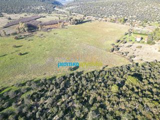 Οικόπεδο 20.268,98 τ.μ. για πώληση, Αργολίδα, Επίδαυρος-thumb-19