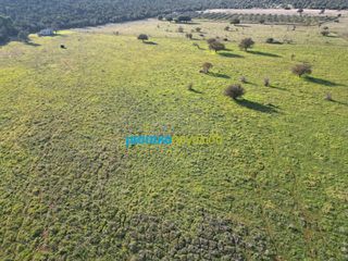 Οικόπεδο 20.268,98 τ.μ. για πώληση, Αργολίδα, Επίδαυρος-thumb-10