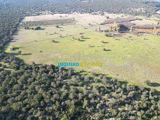 Οικόπεδο 20.268,98 τ.μ. για πώληση, Αργολίδα, Επίδαυρος-thumb-18