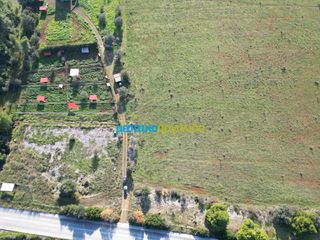 Οικόπεδο 20.268,98 τ.μ. για πώληση, Αργολίδα, Επίδαυρος-thumb-6