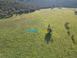 Οικόπεδο 20.268,98 τ.μ. για πώληση, Αργολίδα, Επίδαυρος-thumb-12