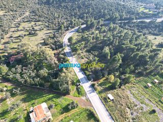 Οικόπεδο 20.268,98 τ.μ. για πώληση, Αργολίδα, Επίδαυρος-thumb-1