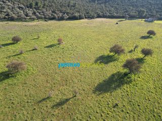 Οικόπεδο 20.268,98 τ.μ. για πώληση, Αργολίδα, Επίδαυρος-thumb-14
