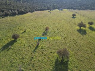 Οικόπεδο 20.268,98 τ.μ. για πώληση, Αργολίδα, Επίδαυρος-thumb-13