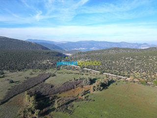 Οικόπεδο 20.268,98 τ.μ. για πώληση, Αργολίδα, Επίδαυρος-thumb-22