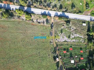 Οικόπεδο 20.268,98 τ.μ. για πώληση, Αργολίδα, Επίδαυρος-thumb-8