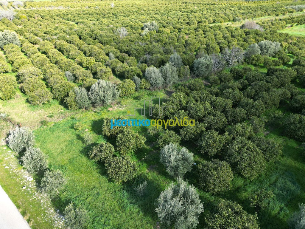 Οικόπεδο 7.632,75 τ.μ. προς πώληση, Μοναστηράκι Μυκηνών