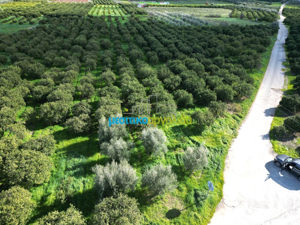 Οικόπεδο 7.632,75 τ.μ. προς πώληση, Μοναστηράκι Μυκηνών
