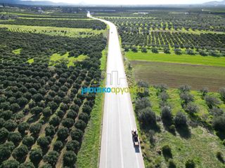Οικόπεδο 7.632,75 τ.μ. προς πώληση, Μοναστηράκι Μυκηνών-thumb-1