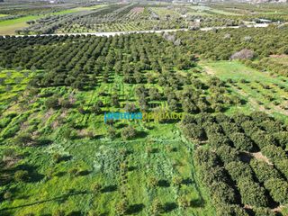 Οικόπεδο 7.632,75 τ.μ. προς πώληση, Μοναστηράκι Μυκηνών-thumb-6