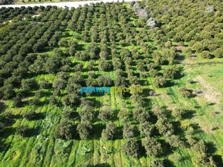 Οικόπεδο 7.632,75 τ.μ. προς πώληση, Μοναστηράκι Μυκηνών-thumb-9