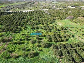 Οικόπεδο 7.632,75 τ.μ. προς πώληση, Μοναστηράκι Μυκηνών-thumb-7