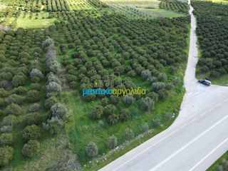 Οικόπεδο 7.632,75 τ.μ. προς πώληση, Μοναστηράκι Μυκηνών-thumb-16