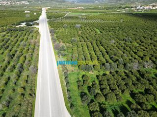 Οικόπεδο 7.632,75 τ.μ. για πώληση