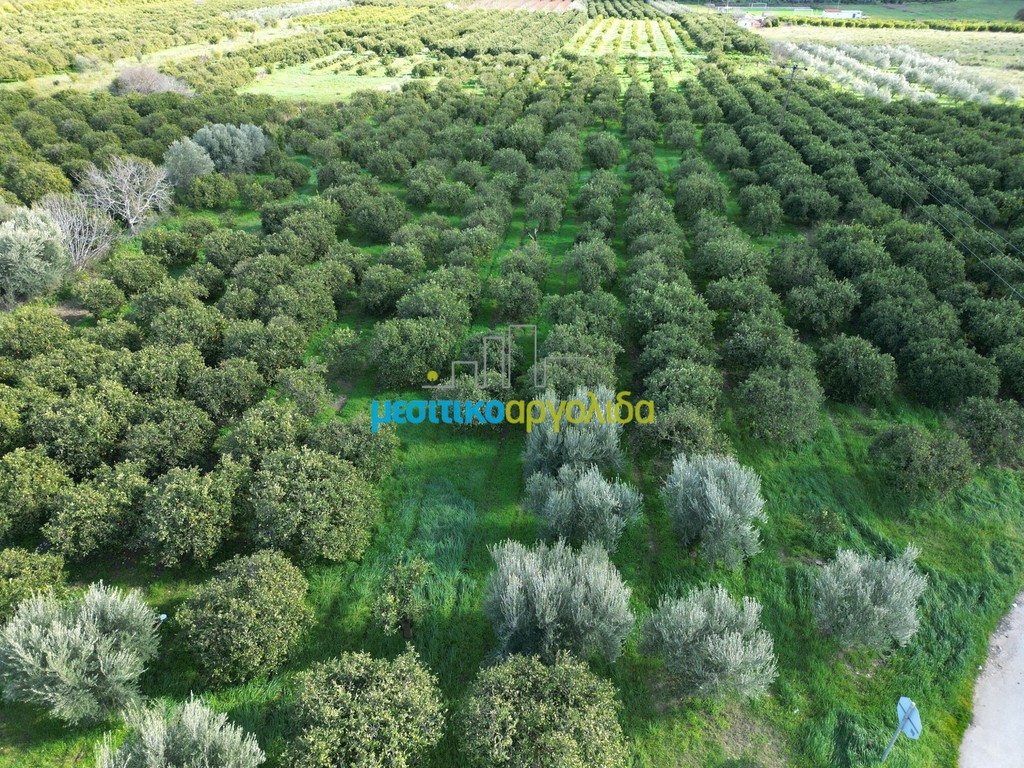 Οικόπεδο 7.632,75 τ.μ. προς πώληση, Μοναστηράκι Μυκηνών
