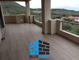 Μονοκατοικία 360 τ.μ. προς πώληση, Ευρωστίνη-thumb-8