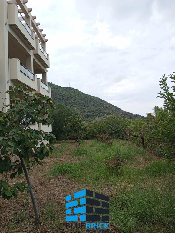 Μονοκατοικία 360 τ.μ. προς πώληση, Ευρωστίνη