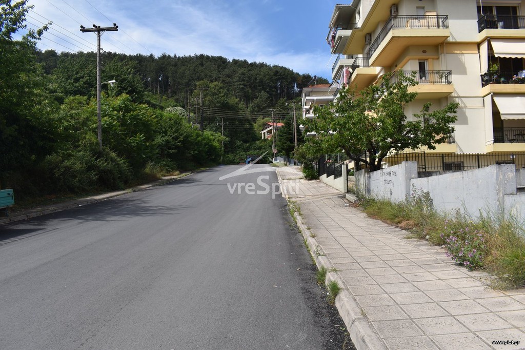 Οικόπεδο 813 τ.μ. πρός πώληση, Ν. Ιωαννίνων, Ιωάννινα