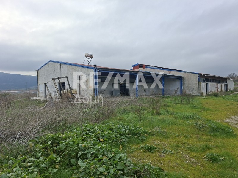 Επιχειρηματικό κτίριο 598 τ.μ. πρός πώληση, Μαγνησία, Αισωνία